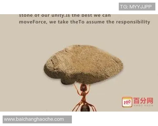 浓眉坚定信念：自我反思是解决问题的关键所在